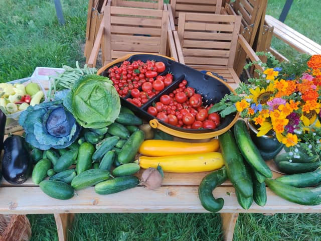 image of our farm