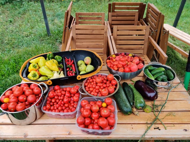 image of our farm